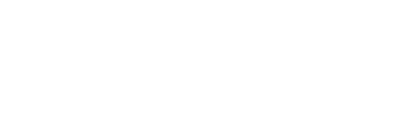 BeeBI